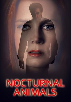 Nocturnal Animals Nocturnal Animals