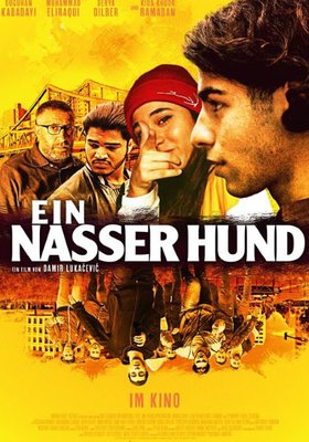 Ein nasser Hund Ein nasser Hund