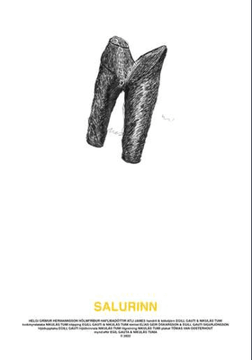 Salurinn