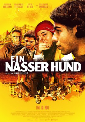 Ein nasser Hund Ein nasser Hund