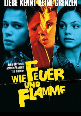 Wie Feuer und Flamme