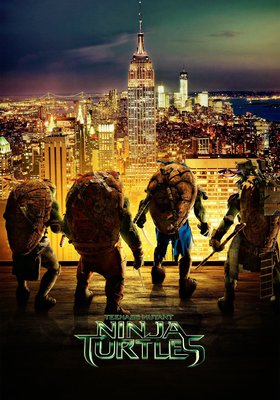 Ninja Turtles Ninja Turtles