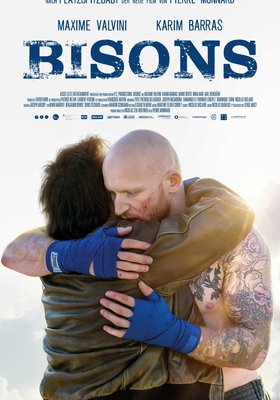 Bisons